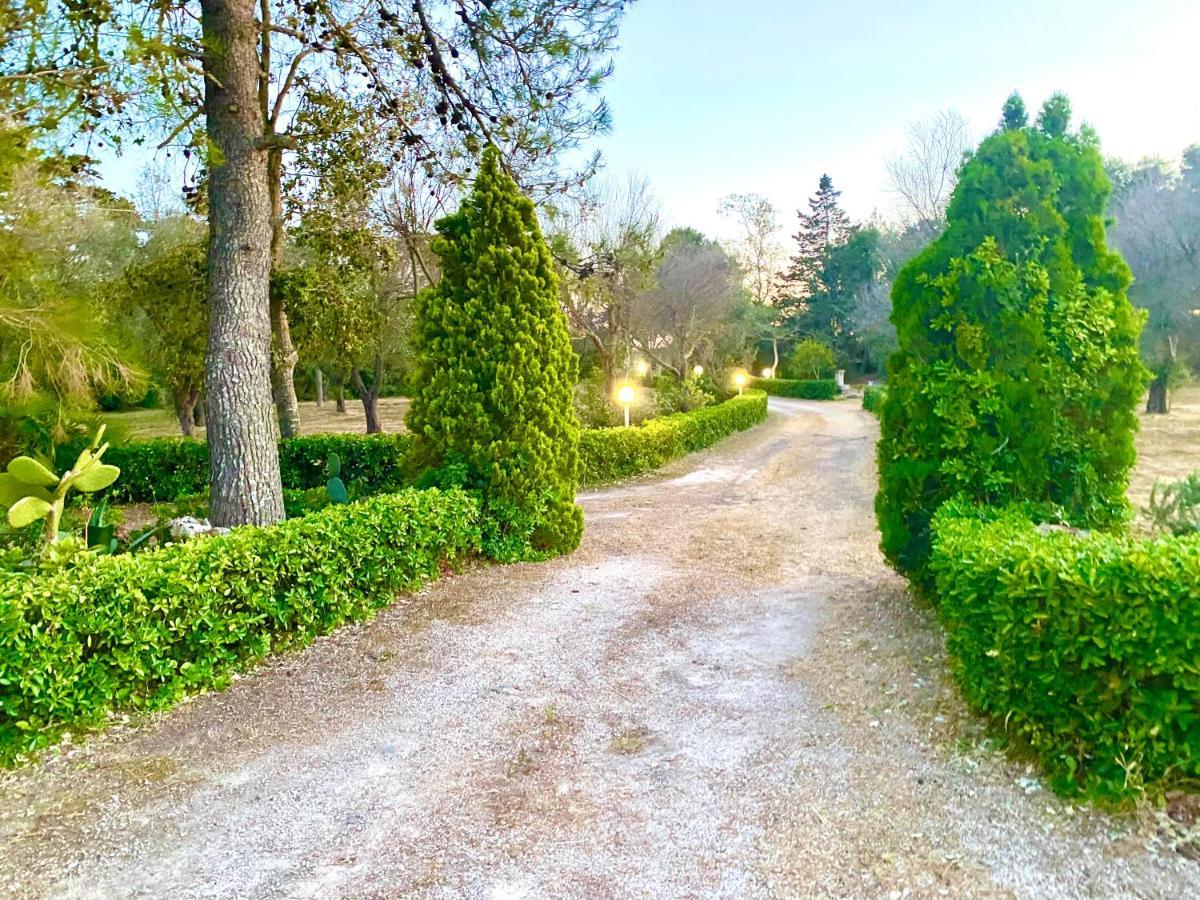 Villa Petrelli トッレ・デル・オルソ エクステリア 写真
